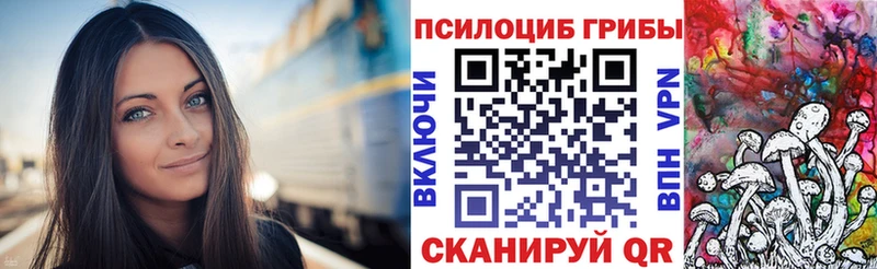 купить наркотики сайты Петровск-Забайкальский Псилоцибиновые грибы GOLDEN TEACHER